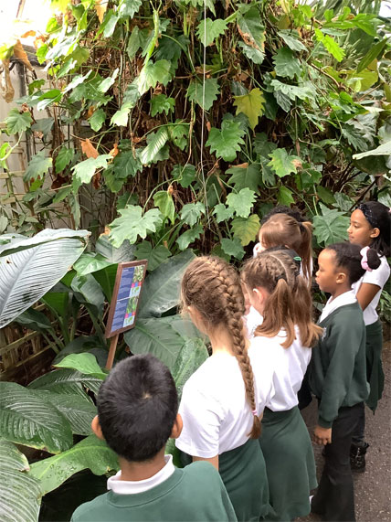 Holy Cross Catholic Primary School