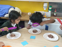 Holy Cross Catholic Primary School