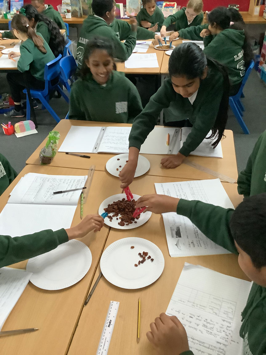 Holy Cross Catholic Primary School