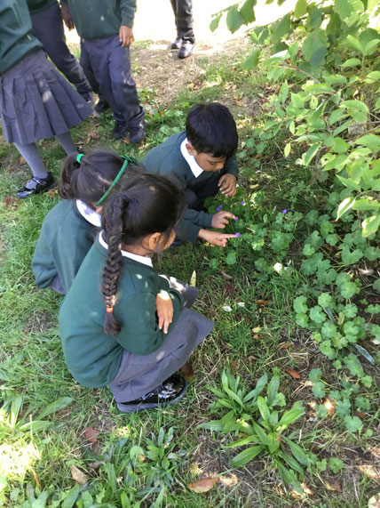 Holy Cross Catholic Primary School