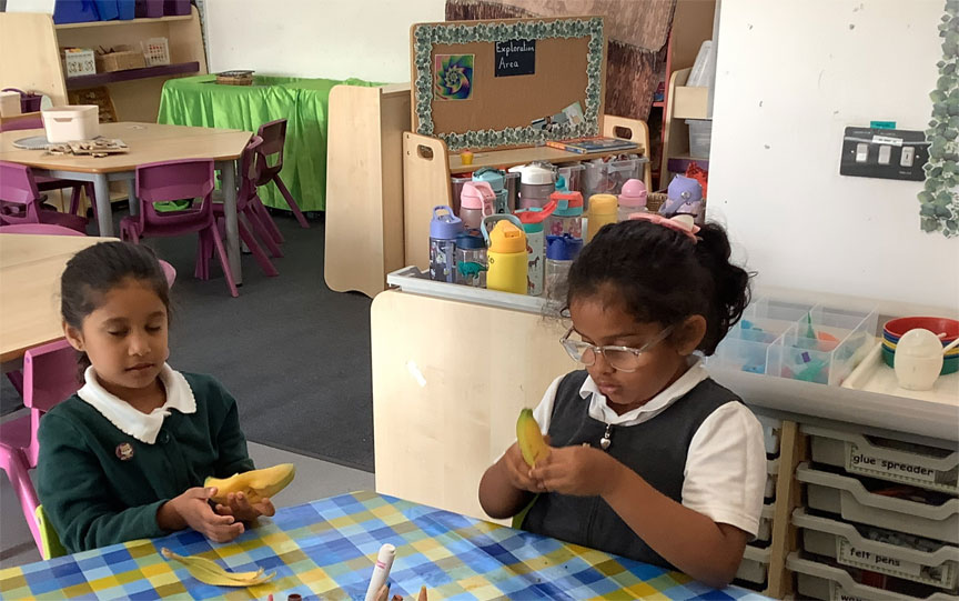 Holy Cross Catholic Primary School