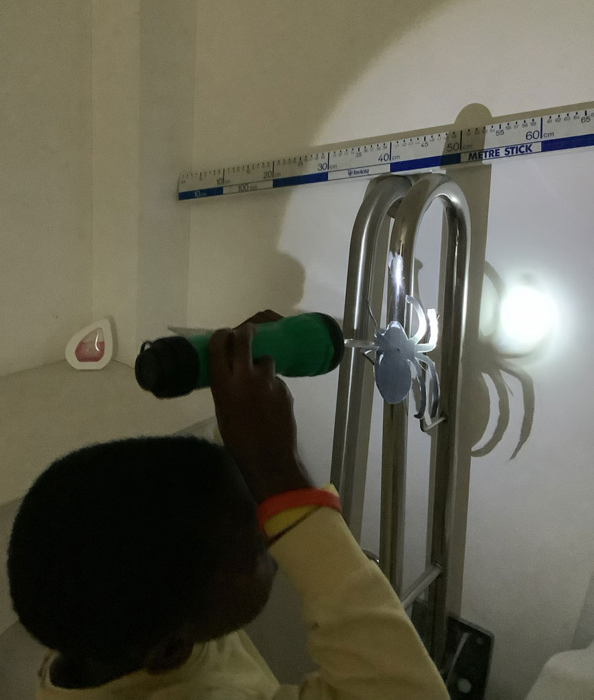 Holy Cross Catholic Primary School